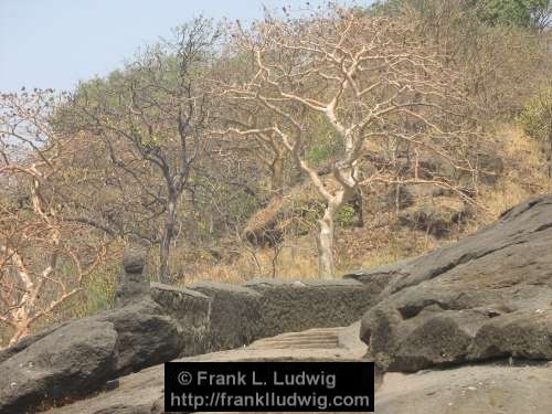 Kanheri Caves, Sanjay Gandhi National Park, Borivali National Park, Maharashtra, Bombay, Mumbai, India